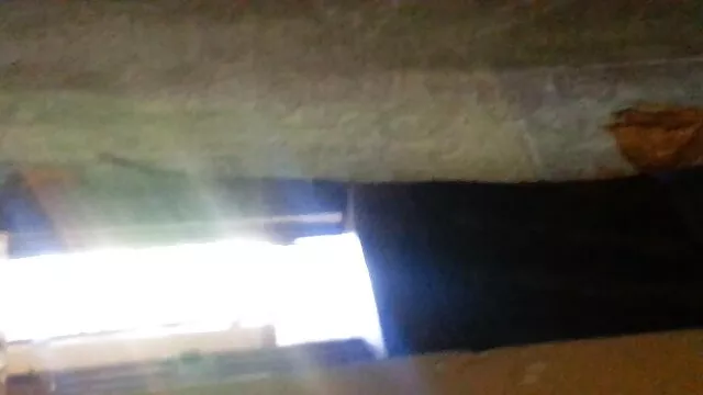 بهترین انجمن بدون ثبت نام  جانیس گریفیت عکس کونهای گشاد اسپرم کامل دهان