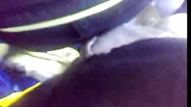 بهترین انجمن بدون ثبت نام  خودش را در انبار عكس سكسي كوس برد